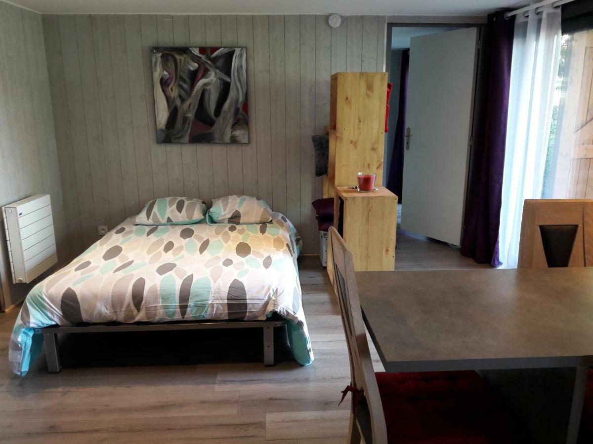 Les Massonnat Apartment Aix-les-Bains Bagian luar foto